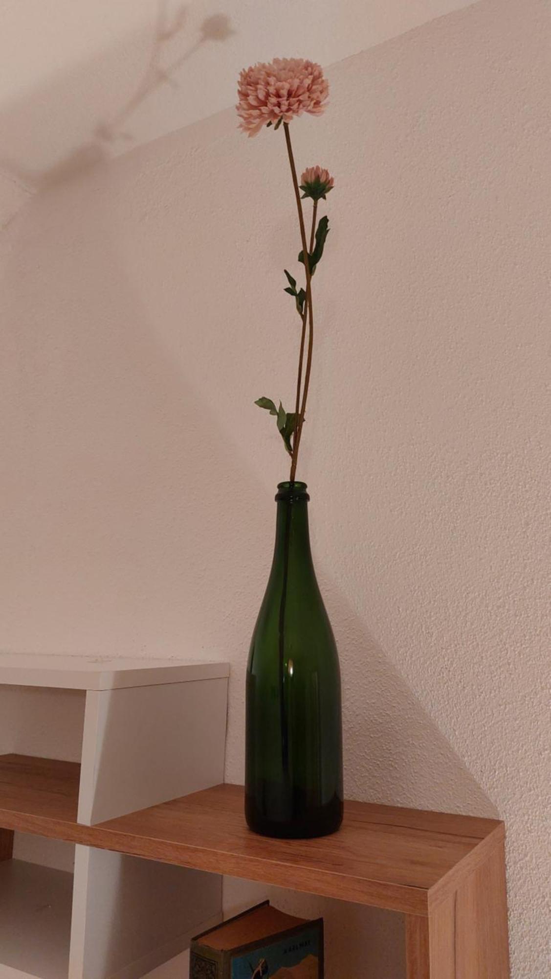 Bauer Haug Apartment Dietmannsried Room photo